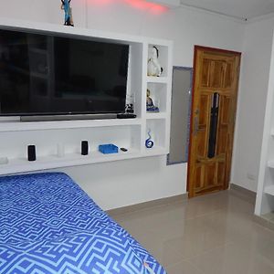 Delfin 207